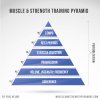 eric-helms-muscle-strength-training-pyramid.jpg