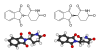 Thalidomide-structures.png