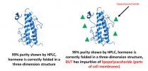 lipopolysaccharide.jpg