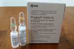 pregnyl-injection-500x500-500x500.jpg