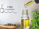 cbd-cannabidiol-explications.jpg