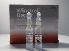 WINSTROL DESMA 3 AMP BOX Wins-DESMA.jpg