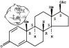 boldenone-acetate-chemical-structure.jpg