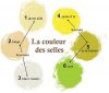 img_comment_interpreter_la_couleur_des_selles_13120_600.jpg