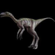 troodon