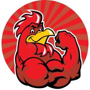 muscle-rooster-show-his-arm-vector-36104640.jpg