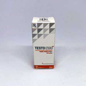 testo-e-500.png