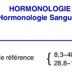 Compte-Rendu PDF_1210025812_page-0003.jpg