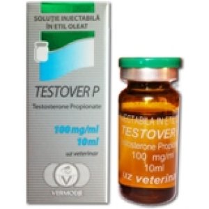 VERMODJE TESTOVER P.jpg