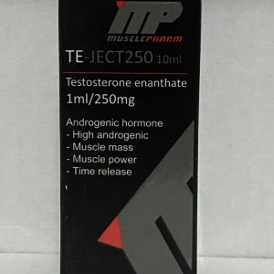 3 MUSCLE PHARM TE-JECT250 (TESTOSTERONE ENANTHATE)~1.jpg