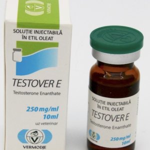 VERMODJE TESTOVER E enant.jpg