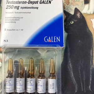 galencat.png