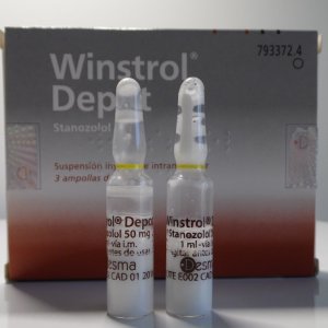 WINSTROL DESMA 3 AMP BOX Wins-DESMA.jpg