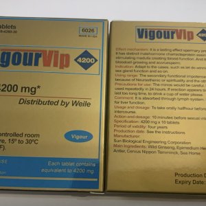 VIGOUR VIP 4200.jpg