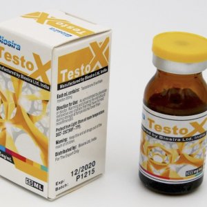 BIOSIRA TESTOX 300MG enat-1.jpg