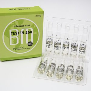 BM PHARMA TESTEN 250MG enant-1.jpg