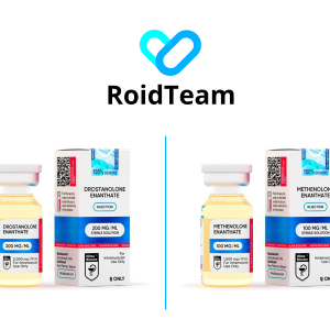 RoidTeam MESO.png