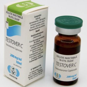 VERMODJE TESTOVER C cip.jpg