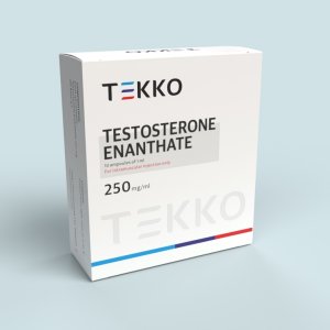 19-testosterone-enanthate.jpeg