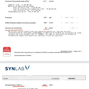 WhatsApp Image 2025-08-03 at 11.20.49.jpeg