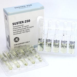 BM PHARMA SUSTEN 250mg sust-1.jpg