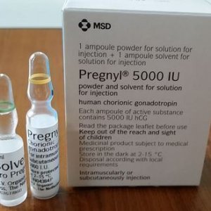 pregnyl-injection-500x500-500x500.jpeg