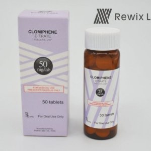 clomiphene-1024x768-1-768x576.jpeg