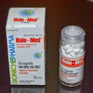 bioniche-pharma-halo-med-halotestin-60-tabs-10mgtab.jpeg