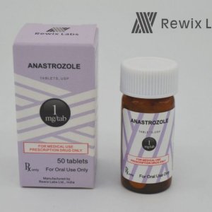 anastrozole-1024x768-1-768x576.jpeg