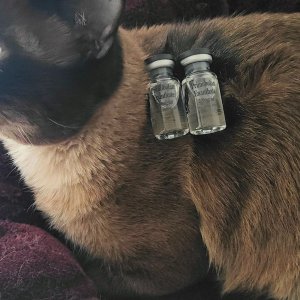 superCat Batteries.jpg