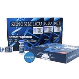 zenosim1.jpg