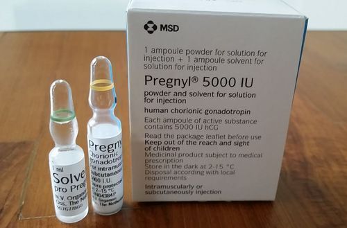 pregnyl-injection-500x500-500x500-1-1-1-2.jpeg