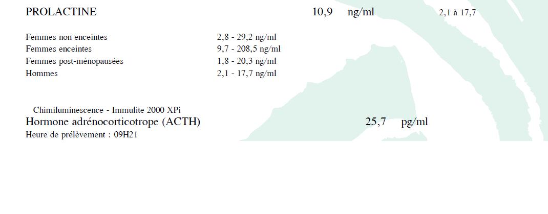 prolactine.JPG