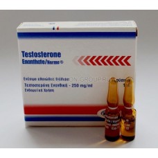 Testosterone-Enanthate-Norma.jpg