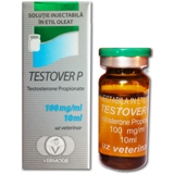 testover-p-testosterone-propionate-3-vials-10-ml-2.jpeg