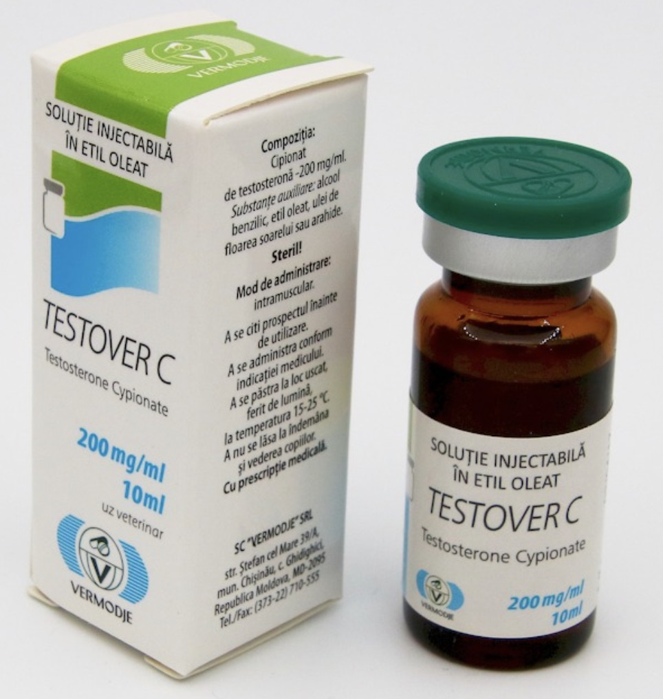 VERMODJE TESTOVER C cip.jpg