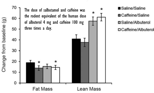 salbutamol-caffeine-rats-study.gif