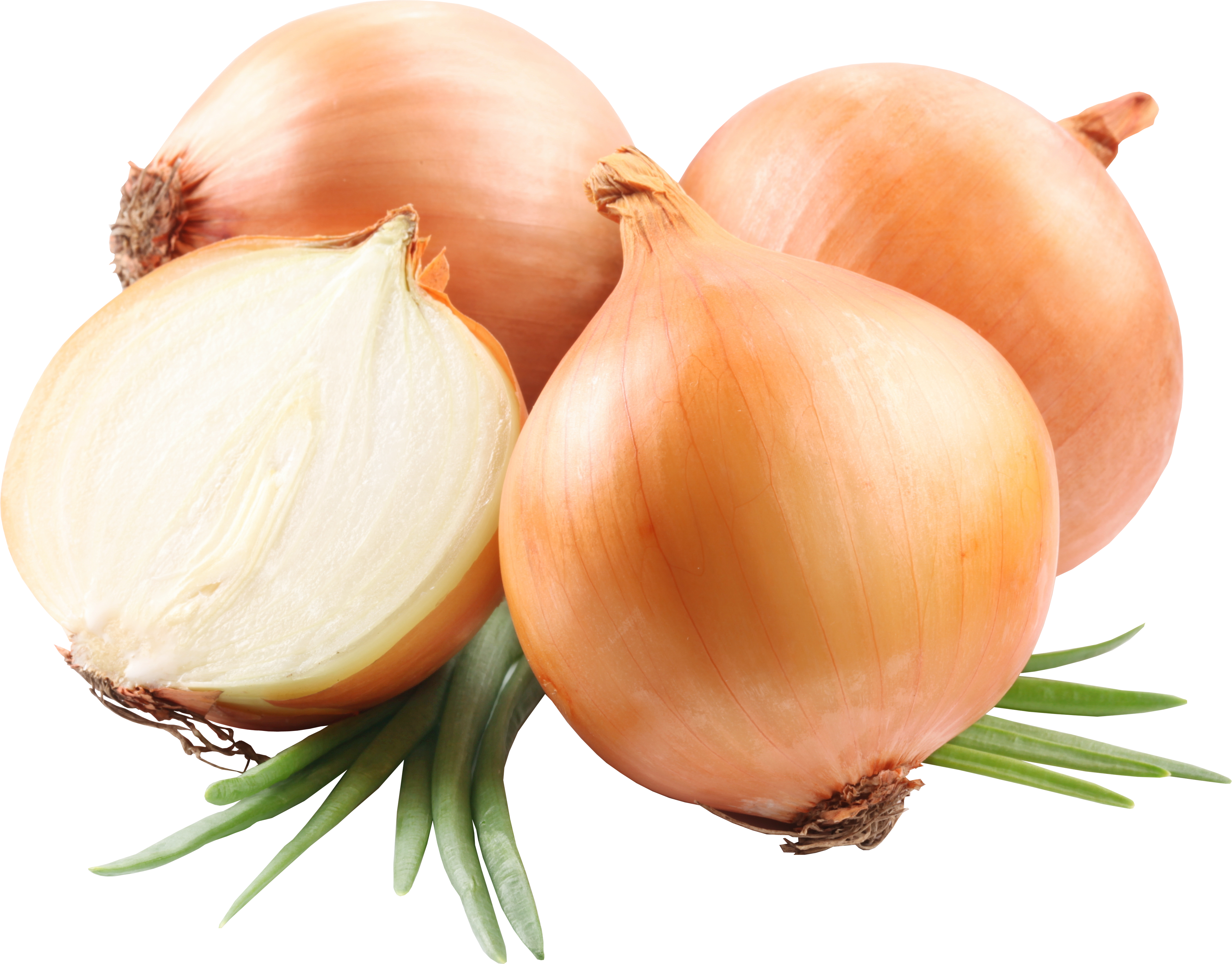 Onion-No-Background-1.png