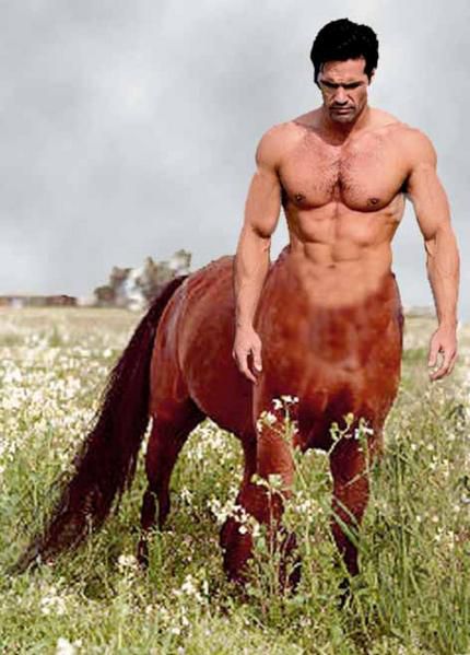 centaur-homme.jpg