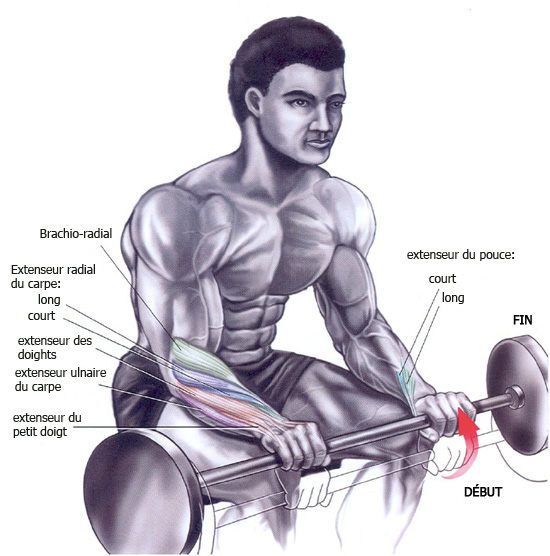 levantamento_para_antebraco_invertido_FR.jpg