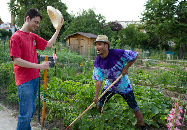 potager_voisin.jpg