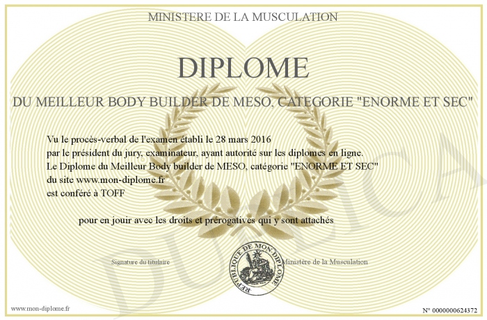 700-624372-Dipl%F4me%20du%20Meilleur%20Body%20builder%20de%20MESO%2C%20cat%E9gorie%20%22ENORME%20ET%20SEC%22.jpg