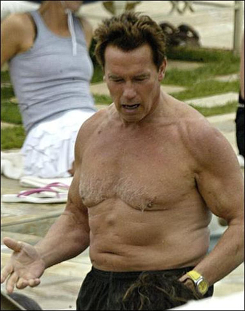 728-arnold-schwarzenegger-old-and-fat.jpg