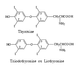 Hormones_TRH_TSH2.gif