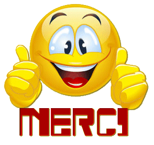 merci_smiley3d_thumbs-up.png