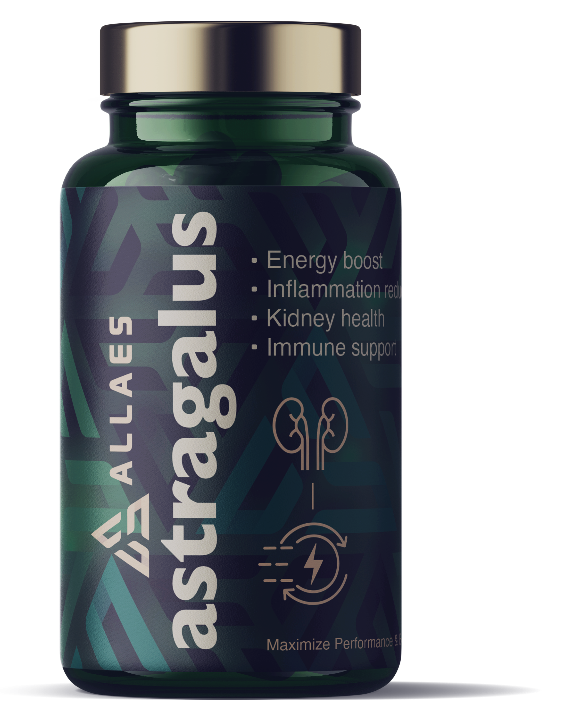 Astragalus_png.png
