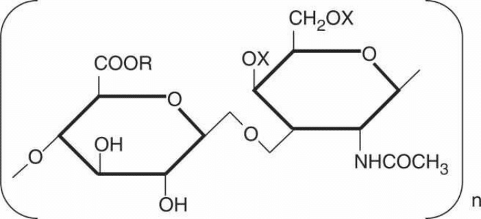 www.santescience.fr