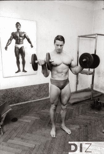 Arnold_Schwarzenegger_012.jpg