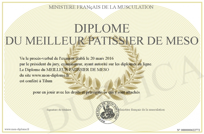 700-622772-Dipl%F4me%20du%20MEILLEUR%20PATISSIER%20DE%20MESO.jpg