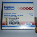 La testostérone devrait-elle être toujours utilisée comme base pour un cycle de stéroíde?